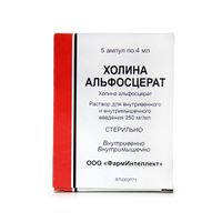 Холина альфосцерат раствор для в/в и в/м введ. 250мг/мл 4мл 5шт