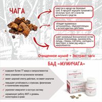 Мумичага таблетки 0,55г 100шт миниатюра фото №2