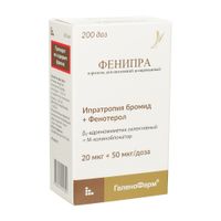 Фенипра аэрозоль для ингаляций дозированный 20мкг+50мкг/доза 200доз