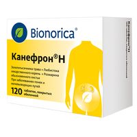 Канефрон Н таблетки п/о 120шт миниатюра фото №2
