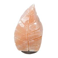 Лампа соляная Leaf Barry/Барри