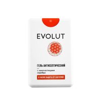 Гель для рук антисептический с наночастицами серебра фронт. спрей Evolut/Эволют 20мл
