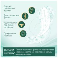 Прокладки ежедневные гигиенические тонкие стринг-мультиформ аромат ромашка Silk Sense Light Ola! 60шт миниатюра фото №5