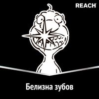 Щетка зубная жесткая белизна зубов Stay White Reach/Рич миниатюра фото №3