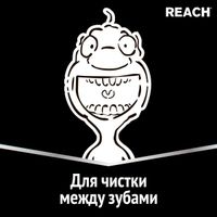 Щетка зубная жесткая Interdental Reach/Рич миниатюра фото №5