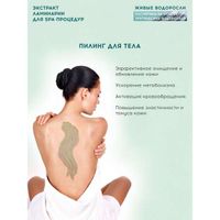Экстракт ламинарии для SPA-процедур Живые водоросли АВ1918 450мл миниатюра фото №4
