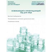 Экстракт ламинарии для SPA-процедур Живые водоросли АВ1918 450мл миниатюра фото №5