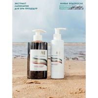 Экстракт ламинарии для SPA-процедур Живые водоросли АВ1918 450мл миниатюра фото №2