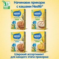Каша сухая молочная овсянка груша и банан Nestle/Нестле дой-пак 220г