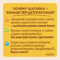 Каша мультизлаковая мед, абрикос и малина Шагайка Nestle/Нестле дой-пак 190г