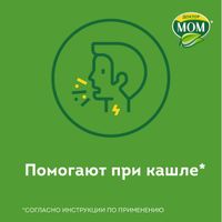 Доктор Мом фрукты пастилки для рассасывания 20шт