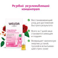 Концентрат разглаживающий с маслом розы москета Weleda/Веледа амп. 0,8мл 7шт миниатюра фото №5
