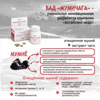 Мумичага таблетки 0,55г 100шт
