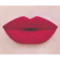 Помада губная жидкая матовая True matte complimenti Relouis 4,5г тон 01 Ягодный красный миниатюра фото №2