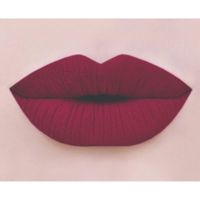 Помада губная жидкая матовая True matte complimenti Relouis 4,5г тон 08 Винный миниатюра фото №2