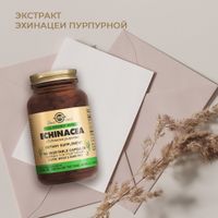 Экстракт эхинацеи пурпурной Solgar/Солгар капсулы 440мг 100шт миниатюра фото №2