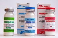 Ампициллин порошок для приг. раствора для в/в и в/м введ. 500мг