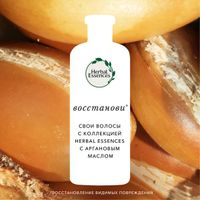 HERBAL ESSENCES (Хербал Эсенсес) Шампунь Марокканское аргановое масло, 400мл миниатюра фото №5
