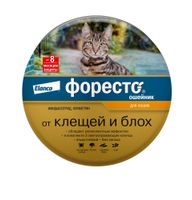 Форесто ошейник для кошек в коробке