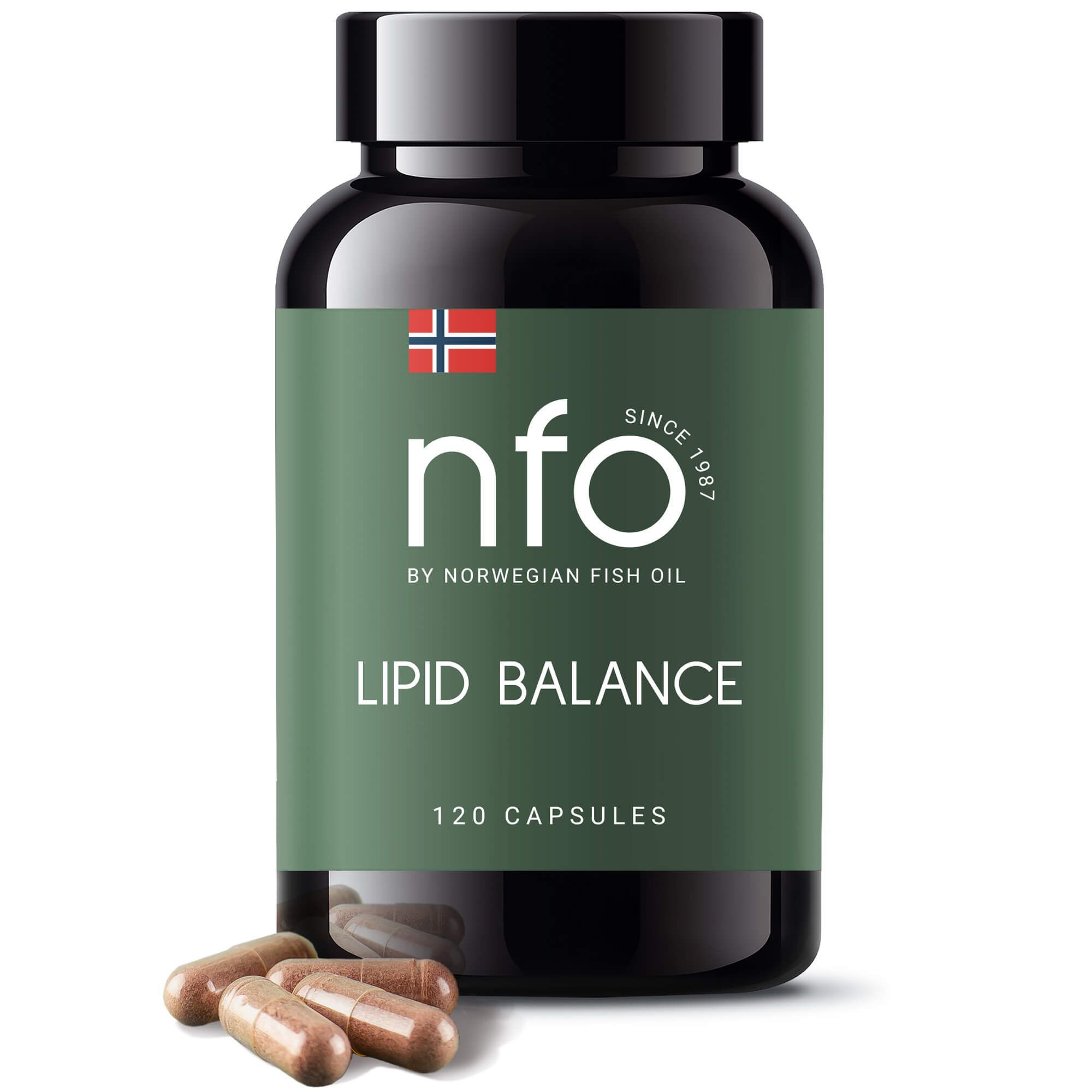 Изображение товара Липид Баланс NFO капсулы 600мг 120 шт для снижения холестерина натуральный комплекс