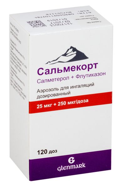 Сальмекорт аэрозоль для ингаляций дозированный 25мкг+250мкг/доза 120доз