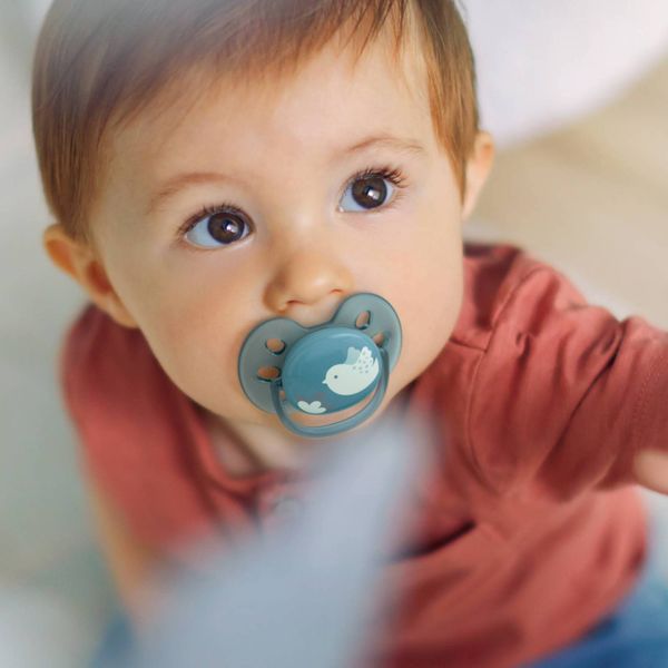 Соска-пустышка силиконовая ортодонтическая с футляром 6-18 мес. Ultra Soft Philips Avent 2шт (SCF091/15) фото №4 Соска-пустышка силиконовая ортодонтическая с футляром 6-18 мес. Ultra Soft Philips Avent 2шт (SCF091/15) фото №4