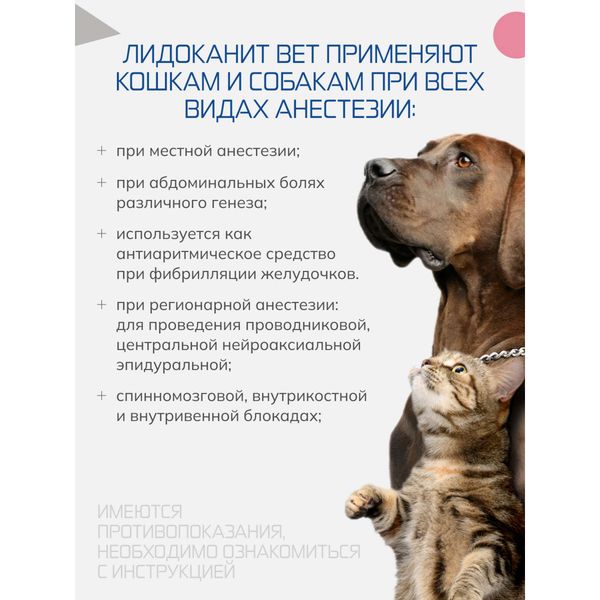 Лидоканит Вет раствор для инъекций для кошек и собак фл. 20мг/мл 20мл фото №2 Лидоканит Вет раствор для инъекций для кошек и собак фл. 20мг/мл 20мл фото №2