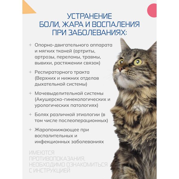 Вемелкам ТАБ таблетки для животных 0,5мг 10шт фото №3 Вемелкам ТАБ таблетки для животных 0,5мг 10шт фото №3