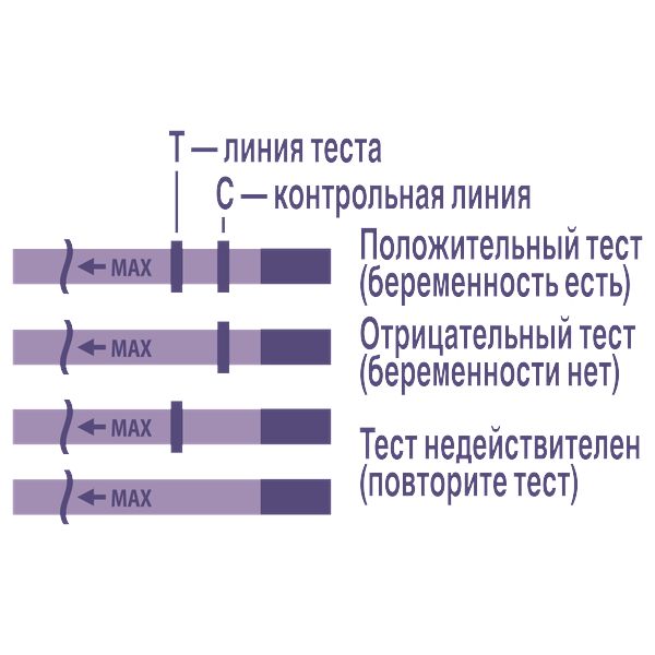 Тест на беременность струйный с держателем и колпачком Perfect Evitest/Эвитест фото №4