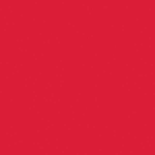 Карандаш для губ Wet n Wild (Вет Энд Вайлд) Color Icon Lipliner Pencil E717 Berry red 1,4 г фото №2
