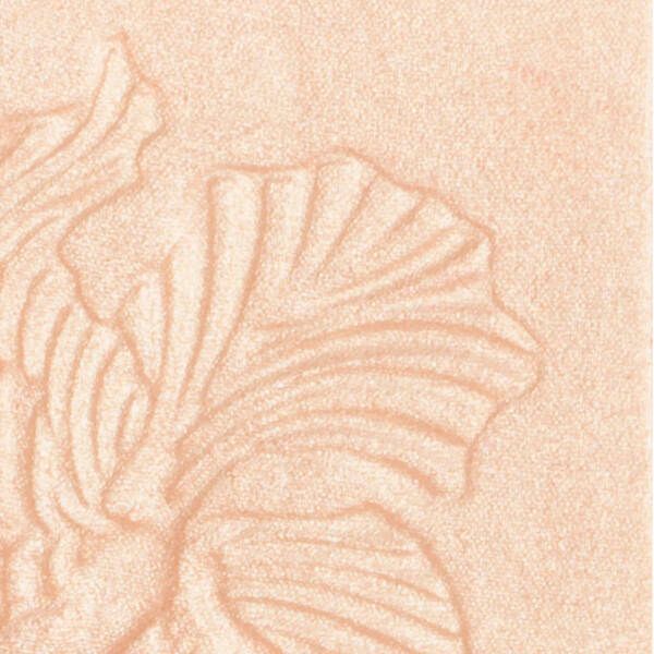 Пудра-Хайлайтер Wet n Wild MegaGlo Highlighting Powder E321b precious petals фото №3