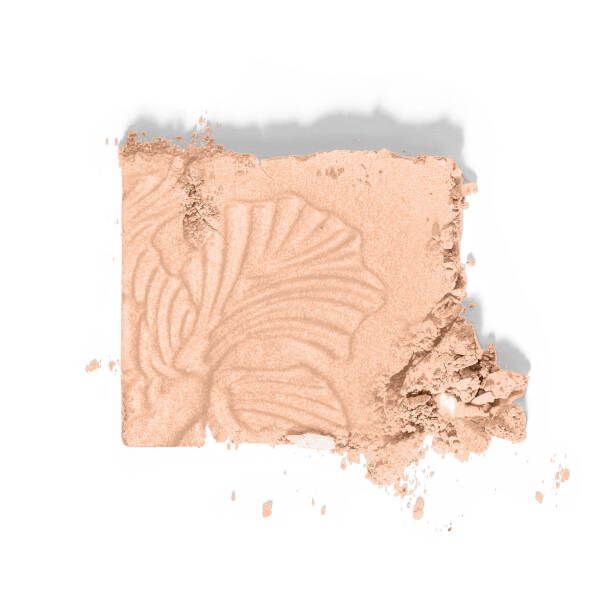 Пудра-Хайлайтер Wet n Wild MegaGlo Highlighting Powder E321b precious petals