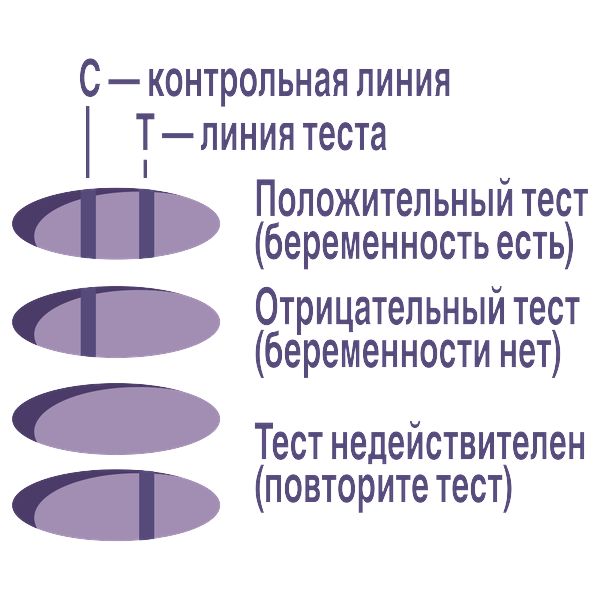 Тест на беременность струйный с держателем и колпачком Perfect Evitest/Эвитест фото №5
