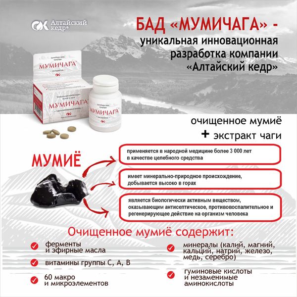 Мумичага таблетки 0,55г 100шт