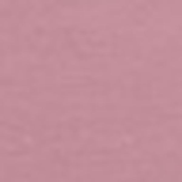 Помада губная La mia Italia Relouis 3,7г тон 01 Pink pastel фото №2