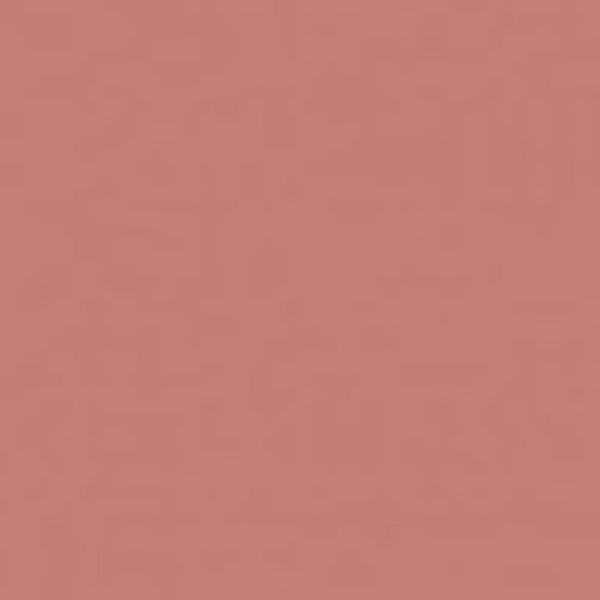 Помада губная жидкая матовая Nude matte complimenti Relouis 4,5г тон 24 Универсальный бежевый  фото №2