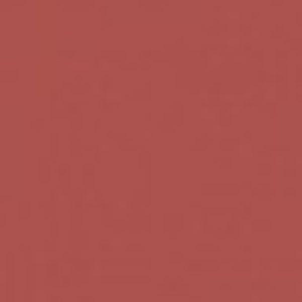 Помада губная жидкая матовая Nude matte complimenti Relouis 4,5г тон 21 Дымчатый бежевый  фото №2