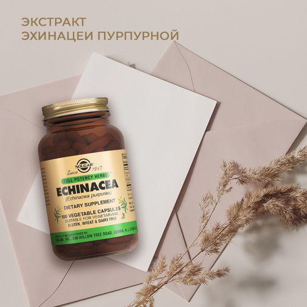 Экстракт эхинацеи пурпурной Solgar/Солгар капсулы 440мг 100шт фото №2