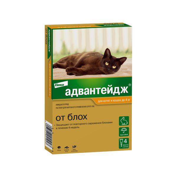 Адвантейдж капли от блох для котят и кошек весом до 4кг пипетка 0,4мл 4шт