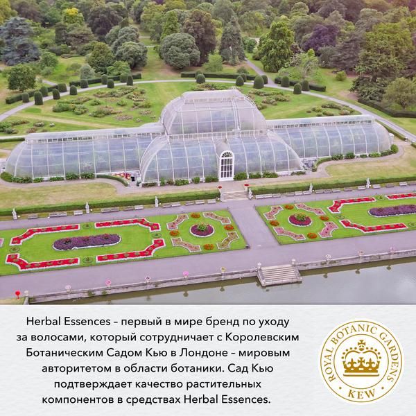 Herbal Essences (Хербал Эсенсес) Бальзам-ополаскиватель Алоэ и Бамбук фл.275мл фото №7