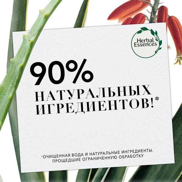HERBAL ESSENCES (Хербал Эсенсес) Шампунь Марокканское аргановое масло, 400мл фото №3