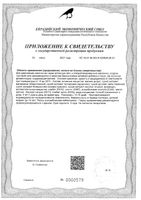 Валемидин Плюс сироп 100мл: миниатюра сертификата №2