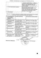 Иммунат лиофилизат для приг. раствора для в/в введ. фл. 500МЕ+375МЕ+Растворитель фл. 5мл: миниатюра сертификата №2