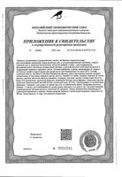 Ренотинекс капсулы кишечнорастворимые п/о 300мг 100шт: миниатюра сертификата №2