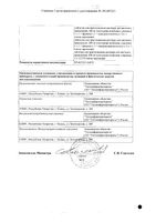 Ринилор таблетки для приг. раствора для местного применения 200мг+Насадка-распылитель+Вода для инъекций амп. 10мл: миниатюра сертификата №2