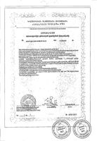 Суп-пюре со шпинатом и сельдереем Леовит Detox пак. 20г 1шт: миниатюра сертификата №4