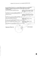 Вифенд лиоф. д/приг. р-ра д/инф. 200мг : миниатюра сертификата №2