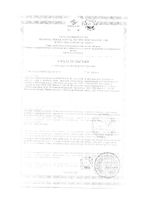Карандаш Stopproblem (Стоп проблем) салициловый маскирующий тон 1 4,7 г: миниатюра сертификата №2