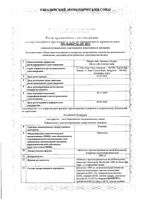 Рэнезин таблетки с пролонгированным высвобождением п/о плен. 1000мг 30шт: миниатюра сертификата