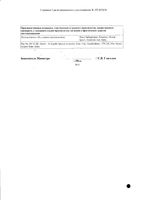 Рапиклав таблетки п/о плен. 875мг+125мг 14шт: миниатюра сертификата №2